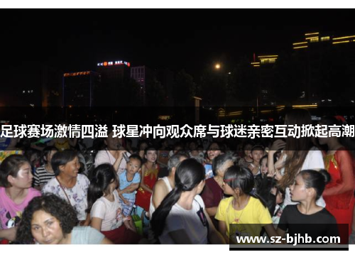 足球赛场激情四溢 球星冲向观众席与球迷亲密互动掀起高潮